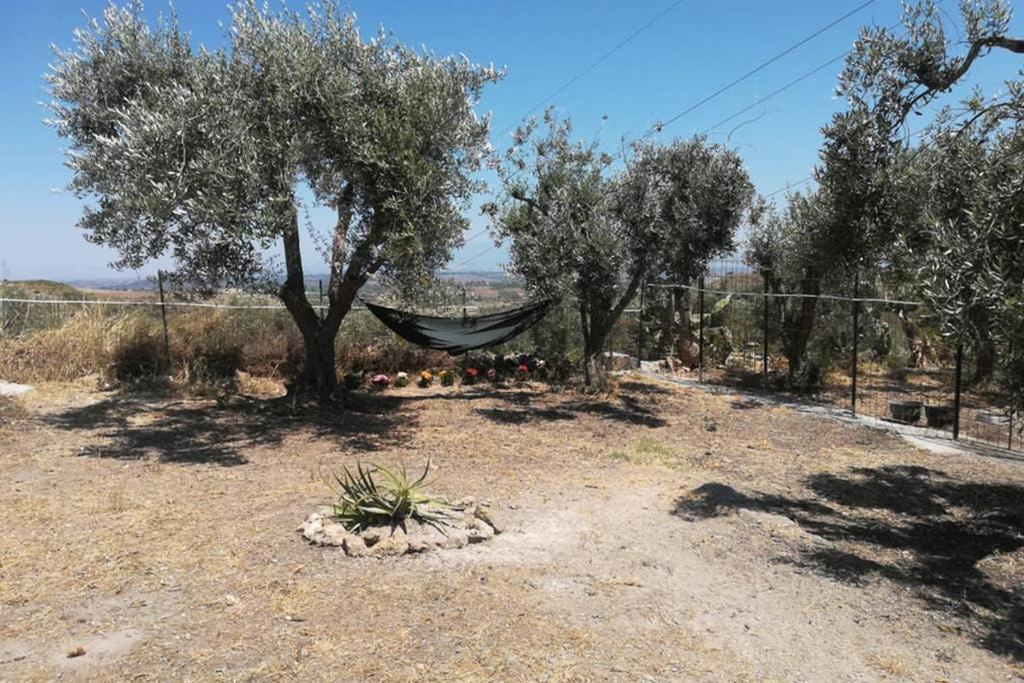 Villa Emma Con Panorama Etna A 10 Minuti Dal Mare เลนตีนิ ภายนอก รูปภาพ