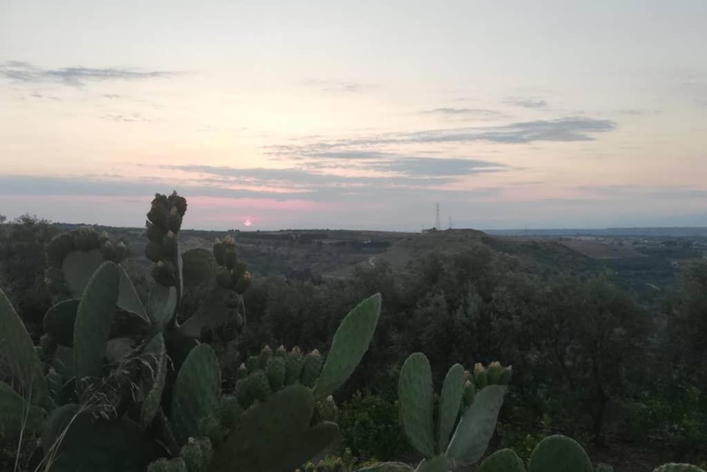 Villa Emma Con Panorama Etna A 10 Minuti Dal Mare เลนตีนิ ภายนอก รูปภาพ